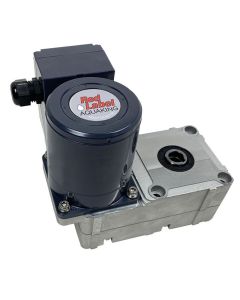 Gear motor 40W 1x230V/50Hz 17mm spie RVS 