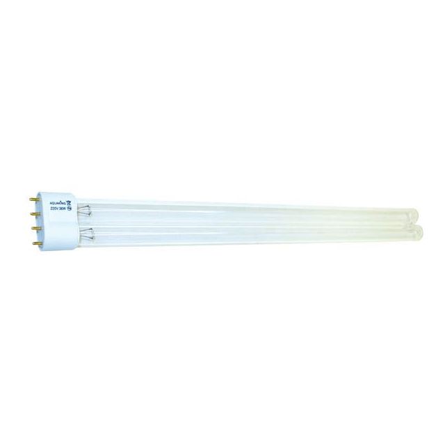 AquaKing lamp PL - 24W 2G11