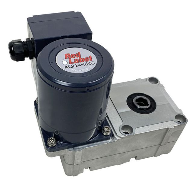 Gear motor 40W 1x230V/50Hz 17mm spie RVS